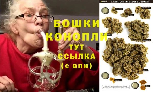 spice Бородино