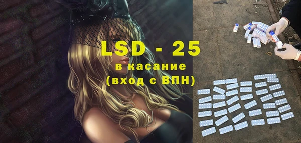 spice Бородино