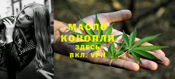 spice Бородино