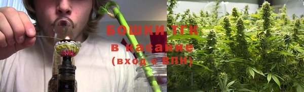 spice Бородино